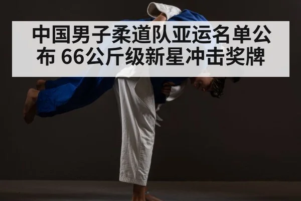 中国男子柔道队亚运名单公布 66公斤级新星冲击奖牌